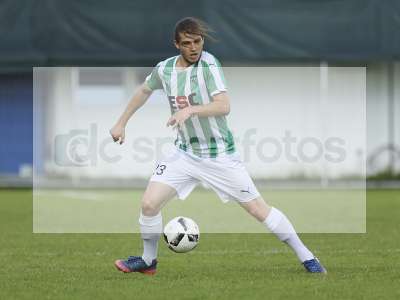 Bild-ID: 1008392