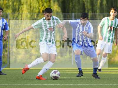 Bild-ID: 1008927