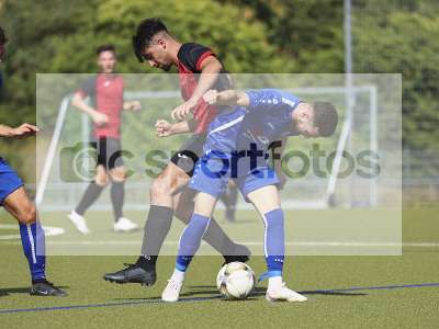 Bild-ID: 1011231