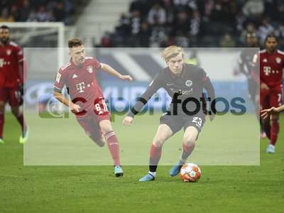 Bild-ID: 1017449
