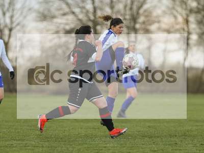 Bild-ID: 1018768