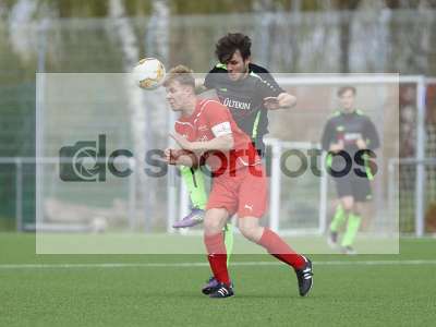 Bild-ID: 1019235