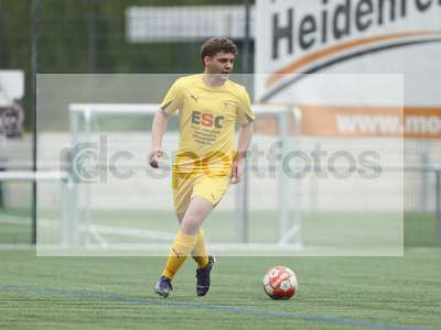 Bild-ID: 1019911