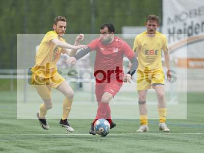 Bild-ID: 1019919