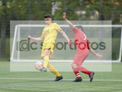 Bild-ID: 1019938