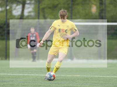 Bild-ID: 1019943