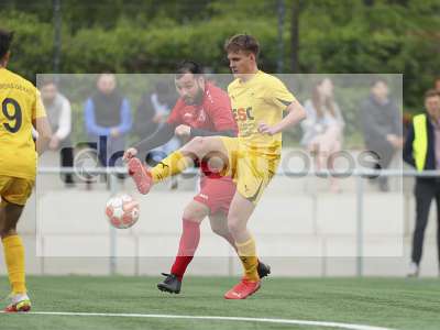 Bild-ID: 1019955