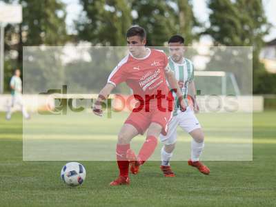Bild-ID: 1021682