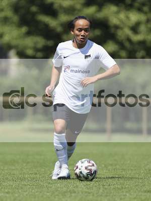 Bild-ID: 1022895