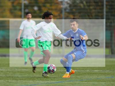 Bild-ID: 1026365