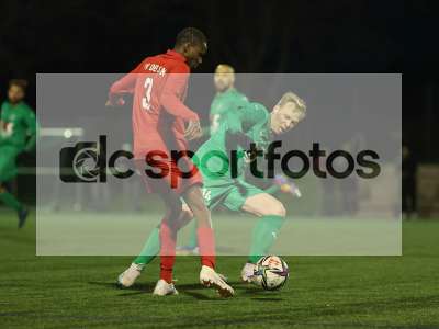 Bild-ID: 1031232