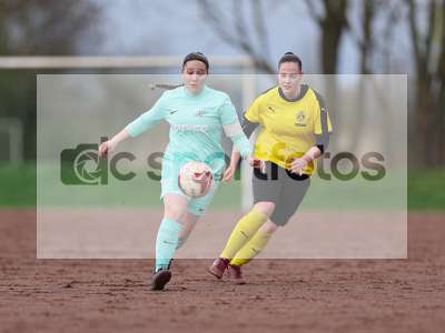 Bild-ID: 1031517
