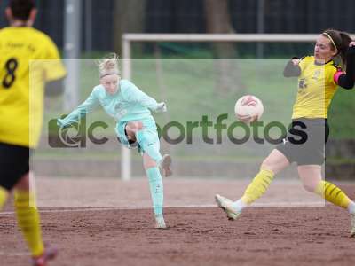 Bild-ID: 1031544