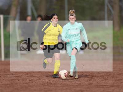 Bild-ID: 1031582