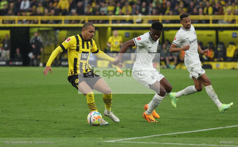 Eintracht Frankfurt, Borussia Dortmund, 1. Bundesliga, Bundesliga, Voetball, Sport, Le Football, Germany, Futbol, Fotball, Fussball, Deutschland, DFL, DFB, Calcio, 2022/23, Saison 2022/2023 - Bild-ID: 1032447