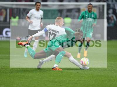 Bild-ID: 1032059