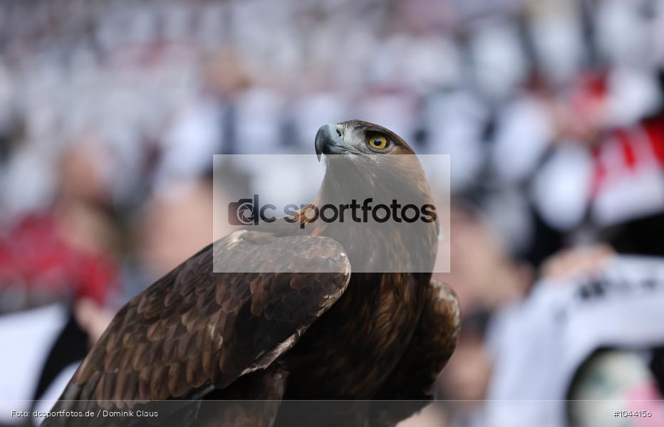 VfL Wolfsburg, Eintracht Frankfurt, Bundesliga, Voetball, Sport, Le Football, Germany, Futbol, Fotball, Fussball, Deutschland, DFL, DFB, Calcio, 2023/24, Saison 2023/2024 - Bild-ID: 1044156 VfL Wolfsburg, Eintracht Frankfurt, Bundesliga, Voetball, Sport, Le Football, Germany, Futbol, Fotball, Fussball, Deutschland, DFL, DFB, Calcio, 2023/24, Saison 2023/2024 - Bild-ID: 1044156