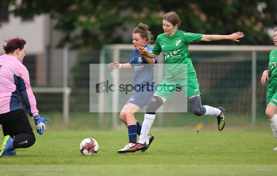 SV Germania Eberstadt, SV Klein-Gerau, Kreisoberliga, Frauen, Voetball, Sport, Le Football, Germany, Futbol, Fotball, Fussball, Deutschland, DFL, DFB, Calcio, 2023/24, Saison 2023/2024 - Bild-ID: 1048236