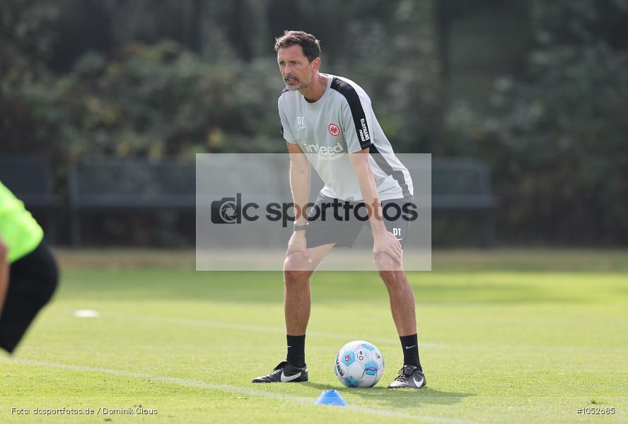 Eintracht Frankfurt, Training, Bundesliga, Voetball, Sport, Le Football, Germany, Futbol, Fotball, Fussball, Deutschland, DFL, DFB, Calcio, 2024/25, Saison 2024/2025 - Bild-ID: 1052685