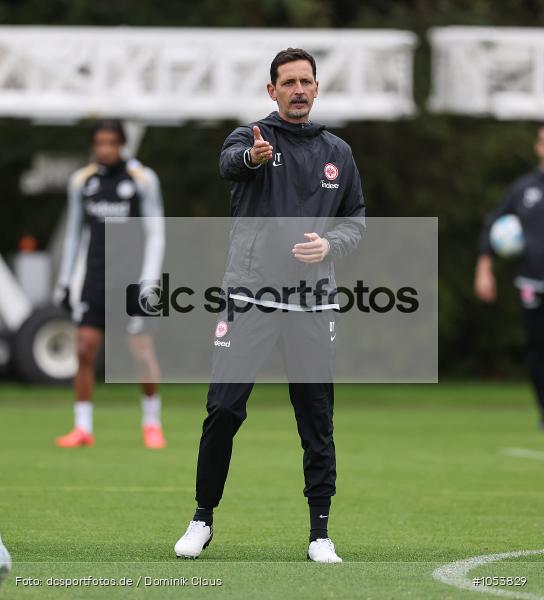 Eintracht Frankfurt, Training, Bundesliga, Voetball, Sport, Le Football, Germany, Futbol, Fotball, Fussball, Deutschland, DFL, DFB, Calcio, 2024/25, Saison 2024/2025 - Bild-ID: 1053829