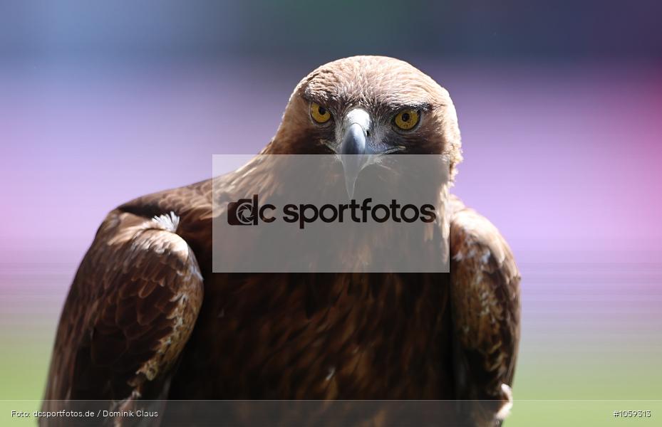 FC Bayern München, Eintracht Frankfurt, Frauen, 1. Bundesliga, Bundesliga, Voetball, Sport, Le Football, Germany, Futbol, Fotball, Fussball, Deutschland, DFL, DFB, Calcio, 2024/25, Saison 2024/2025 - Bild-ID: 1059313 FC Bayern München, Eintracht Frankfurt, Frauen, 1. Bundesliga, Bundesliga, Voetball, Sport, Le Football, Germany, Futbol, Fotball, Fussball, Deutschland, DFL, DFB, Calcio, 2024/25, Saison 2024/2025 - Bild-ID: 1059313