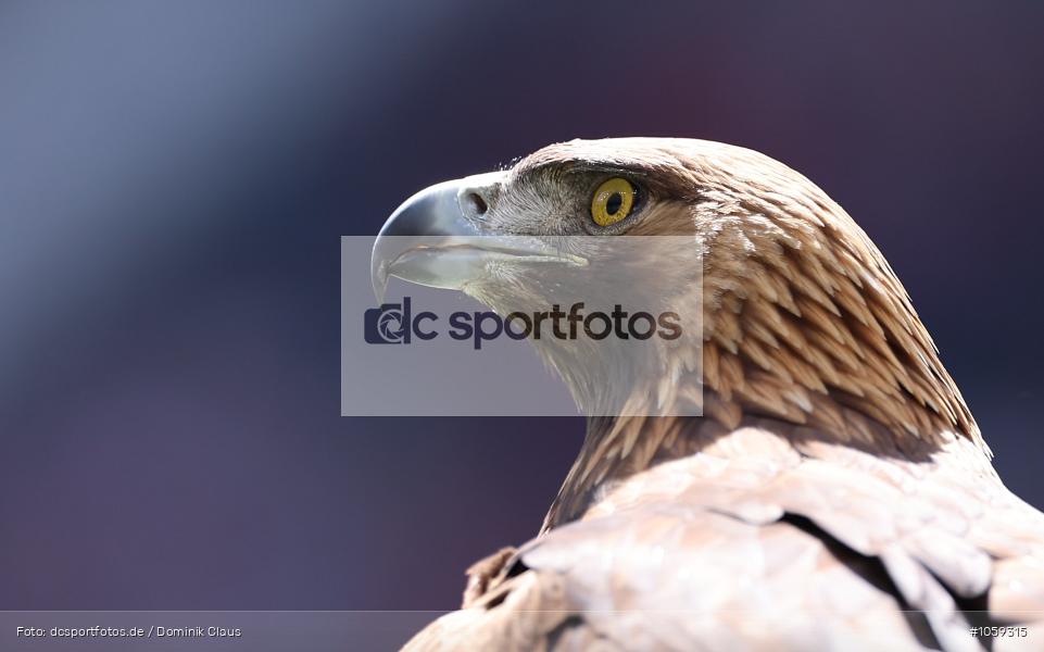 FC Bayern München, Eintracht Frankfurt, Frauen, 1. Bundesliga, Bundesliga, Voetball, Sport, Le Football, Germany, Futbol, Fotball, Fussball, Deutschland, DFL, DFB, Calcio, 2024/25, Saison 2024/2025 - Bild-ID: 1059315 FC Bayern München, Eintracht Frankfurt, Frauen, 1. Bundesliga, Bundesliga, Voetball, Sport, Le Football, Germany, Futbol, Fotball, Fussball, Deutschland, DFL, DFB, Calcio, 2024/25, Saison 2024/2025 - Bild-ID: 1059315