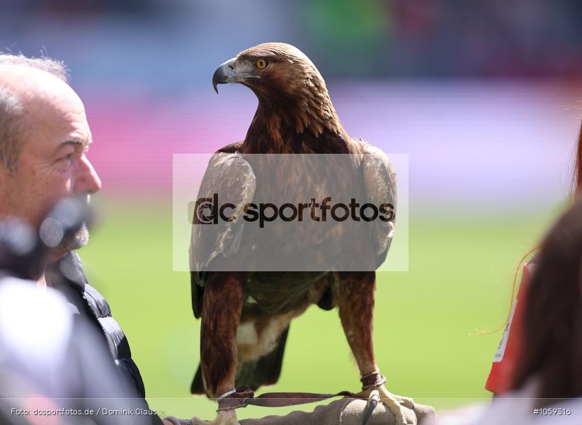 FC Bayern München, Eintracht Frankfurt, Frauen, 1. Bundesliga, Bundesliga, Voetball, Sport, Le Football, Germany, Futbol, Fotball, Fussball, Deutschland, DFL, DFB, Calcio, 2024/25, Saison 2024/2025 - Bild-ID: 1059316 FC Bayern München, Eintracht Frankfurt, Frauen, 1. Bundesliga, Bundesliga, Voetball, Sport, Le Football, Germany, Futbol, Fotball, Fussball, Deutschland, DFL, DFB, Calcio, 2024/25, Saison 2024/2025 - Bild-ID: 1059316
