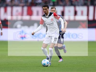 Bild-ID: 1059394