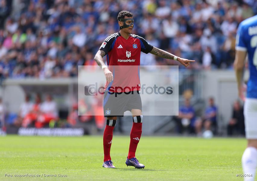 Hamburger SV, SV Darmstadt 98, 2. Liga, 2. Bundesliga, Bundesliga, Liga, Voetball, Sport, Le Football, Germany, Futbol, Fotball, Fussball, Deutschland, DFL, DFB, Calcio, 2024/25, Saison 2024/2025 - Bild-ID: 1060164