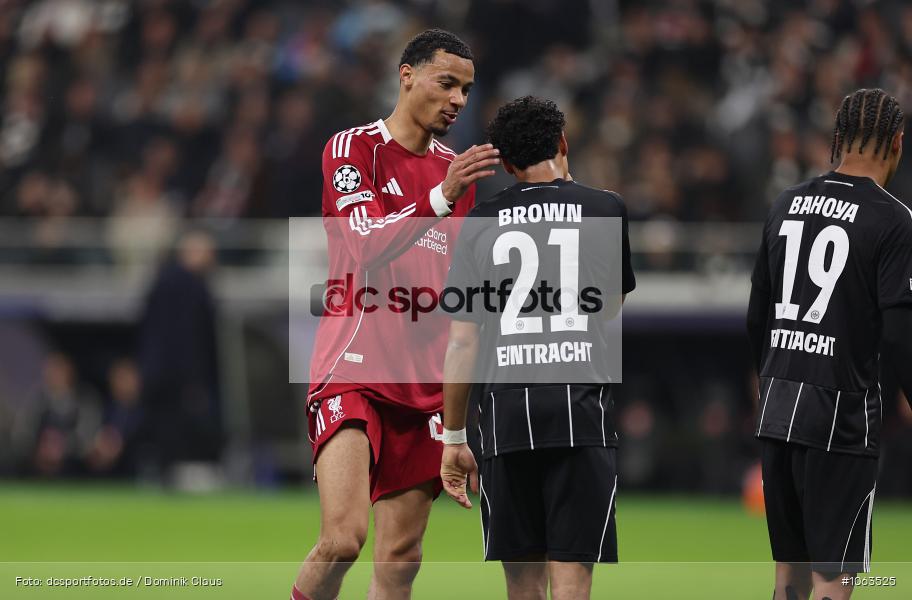 Liverpool FC, Eintracht Frankfurt, CL, Champions League, UEFA Champions League, UEFA, Voetball, Sport, Le Football, Germany, Futbol, Fotball, Fussball, Deutschland, DFL, DFB, Calcio, 2025/26, Saison 2025/2026 - Bild-ID: 1063525