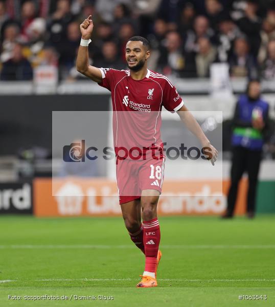Liverpool FC, Eintracht Frankfurt, CL, Champions League, UEFA Champions League, UEFA, Voetball, Sport, Le Football, Germany, Futbol, Fotball, Fussball, Deutschland, DFL, DFB, Calcio, 2025/26, Saison 2025/2026 - Bild-ID: 1063543