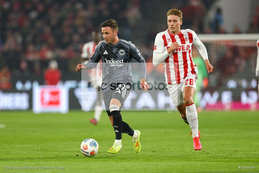 Eintracht Frankfurt, 1. FC Köln, 1. Bundesliga, Bundesliga, Voetball, Sport, Le Football, Germany, Futbol, Fotball, Fussball, Deutschland, DFL, DFB, Calcio, 2025/26, Saison 2025/2026 - Bild-ID: 1064478