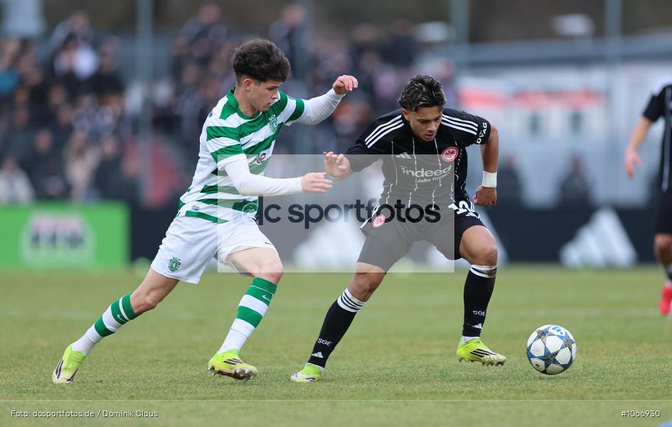 Sporting Clube de Portugal, Sporting Lissabon, Eintracht Frankfurt, UYL, Youth League, U19, UEFA Youth League, UEFA, Voetball, Sport, Le Football, Germany, Futbol, Fotball, Fussball, Deutschland, DFL, DFB, Calcio, 2025/26, Saison 2025/2026 - Bild-ID: 1066930