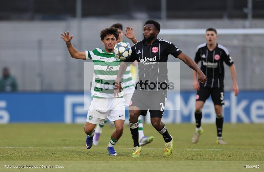 Sporting Clube de Portugal, Sporting Lissabon, Eintracht Frankfurt, UYL, Youth League, U19, UEFA Youth League, UEFA, Voetball, Sport, Le Football, Germany, Futbol, Fotball, Fussball, Deutschland, DFL, DFB, Calcio, 2025/26, Saison 2025/2026 - Bild-ID: 1066985