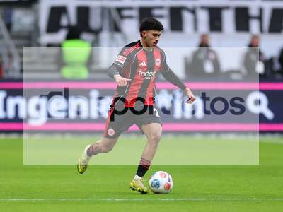 Bild-ID: 1066540