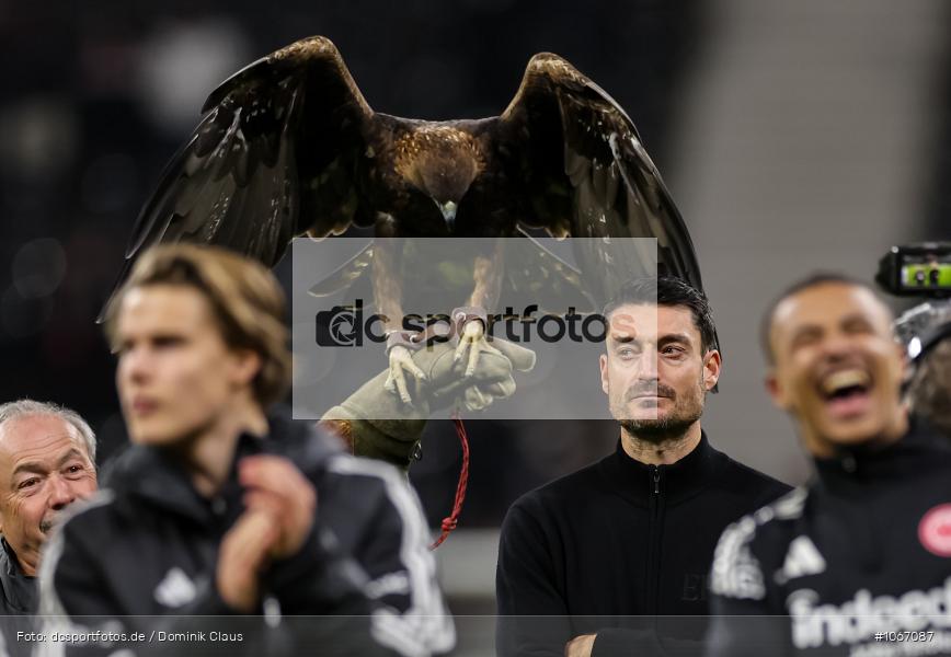 SC Freiburg, Eintracht Frankfurt, Bundesliga, Voetball, Sport, Le Football, Germany, Futbol, Fotball, Fussball, Deutschland, DFL, DFB, Calcio, 2025/26, Saison 2025/2026 - Bild-ID: 1067087