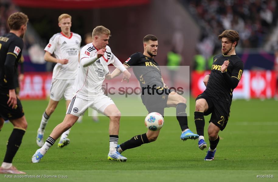 1. FC Köln, Eintracht Frankfurt, Bundesliga, Voetball, Sport, Le Football, Germany, Futbol, Fotball, Fussball, Deutschland, DFL, DFB, Calcio, 2025/26, Saison 2025/2026 - Bild-ID: 1067838
