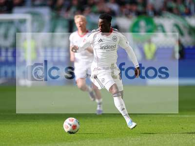 Bild-ID: 1068046