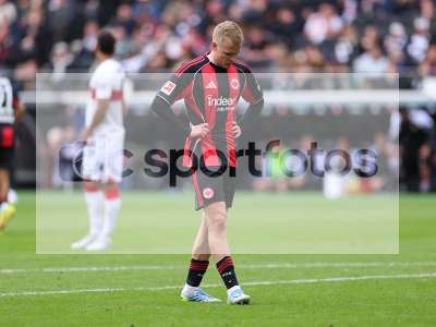 Bild-ID: 1069376